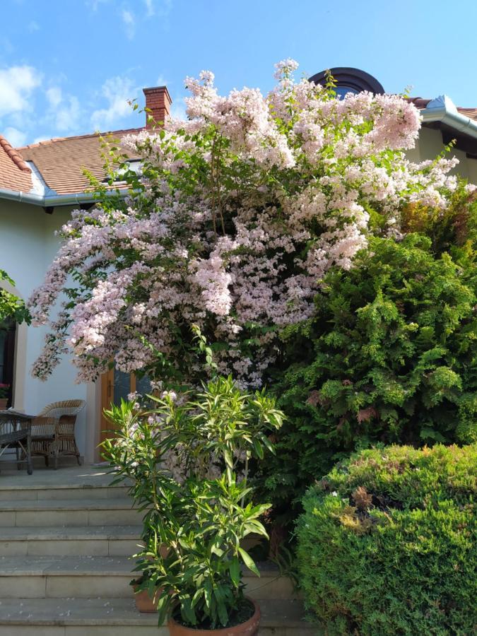 Frutta Villa Cserszegtomaj Exterior foto