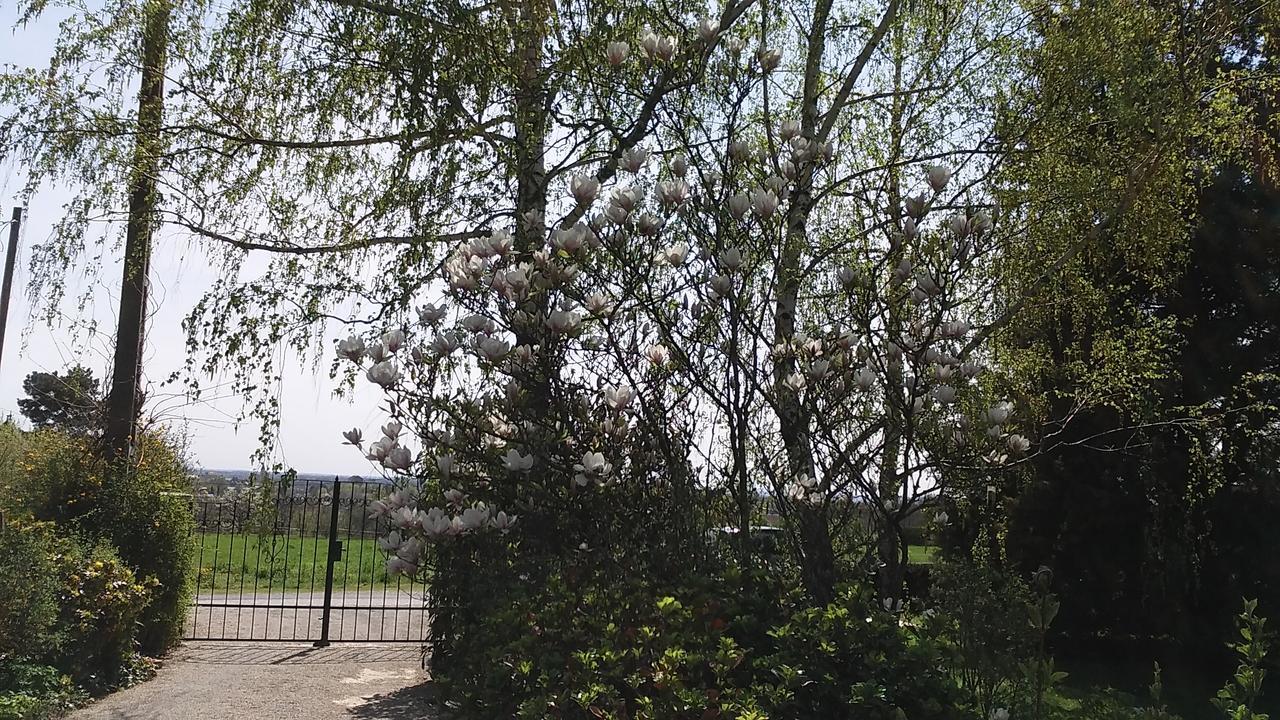 Frutta Villa Cserszegtomaj Exterior foto